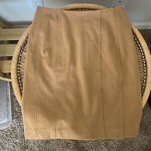 Express Skirt